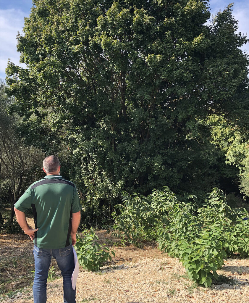 progettazione giardini